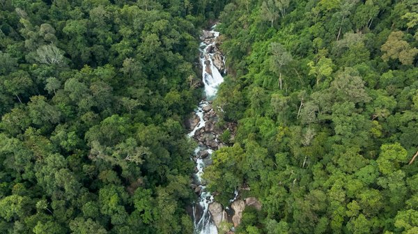 Exploration céleste en ville : 10 conseils indispensables pour maîtriser l"astrophotographie