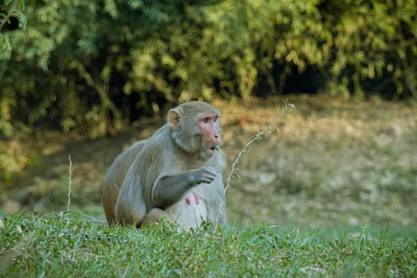 Maîtrisez l'art de l'animation d'un atelier de danse traditionnelle : guide pratique pour un succès éblouissant