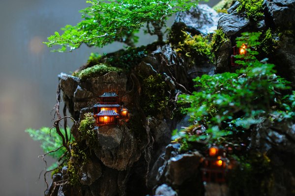 Découvrez comment préparer un festin gourmet à petit budget : astuces et techniques incontournables !