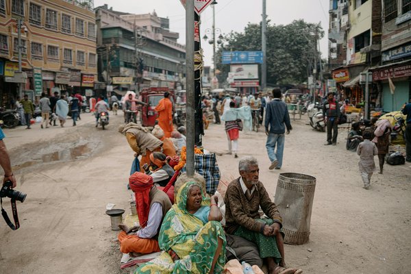 Les Secrets Écologiques de l'Agriculture Biologique pour un Avenir Durable